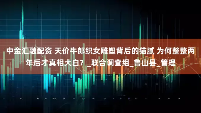 中金汇融配资 天价牛郎织女雕塑背后的猫腻 为何整整两年后才真相大白？_联合调查组_鲁山县_管理
